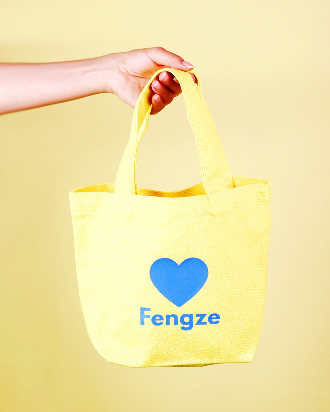 FZ Tote & Hand-Carry Bag (FZ 手提包)